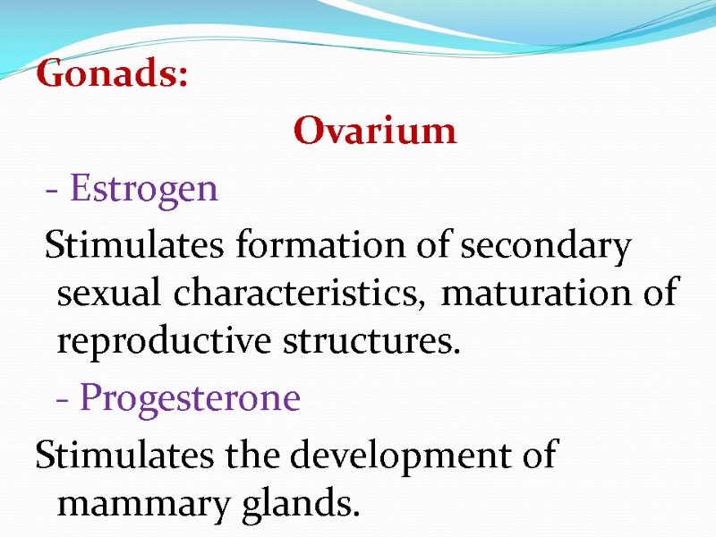 Gonads:    Ovarium  - Estrogen   Stimulates formation of secondary